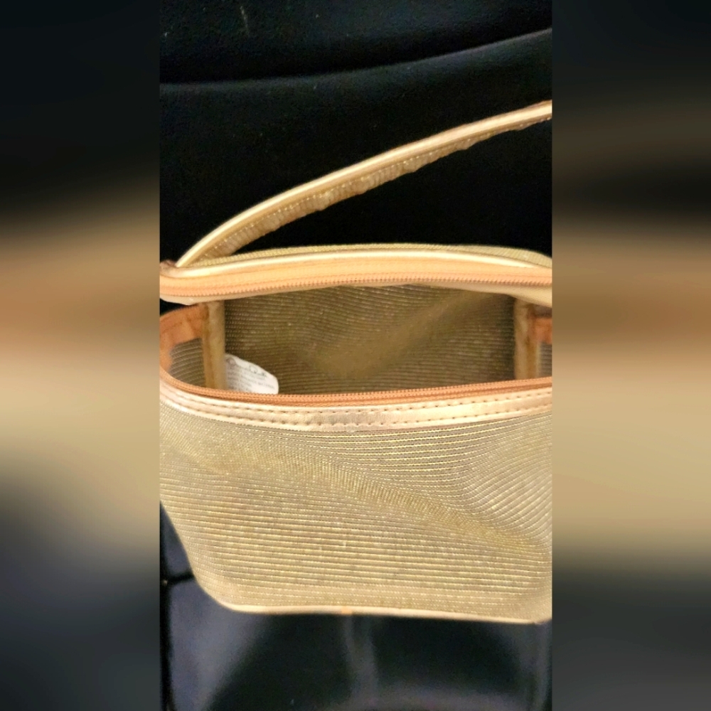 Gold Mesh and Tan Striped Interior Cosmetic Case